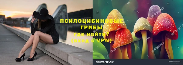 кокс Баксан