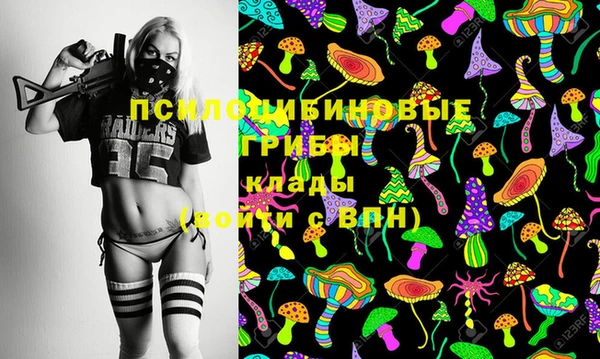 кокс Баксан