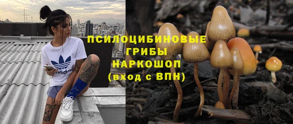 кокс Баксан