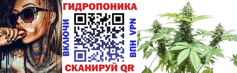 Бошки Шишки марихуана  Судогда 
